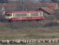 Imagine atasata: Otelec - Pustinis - 2015.01.17 - 17.jpg